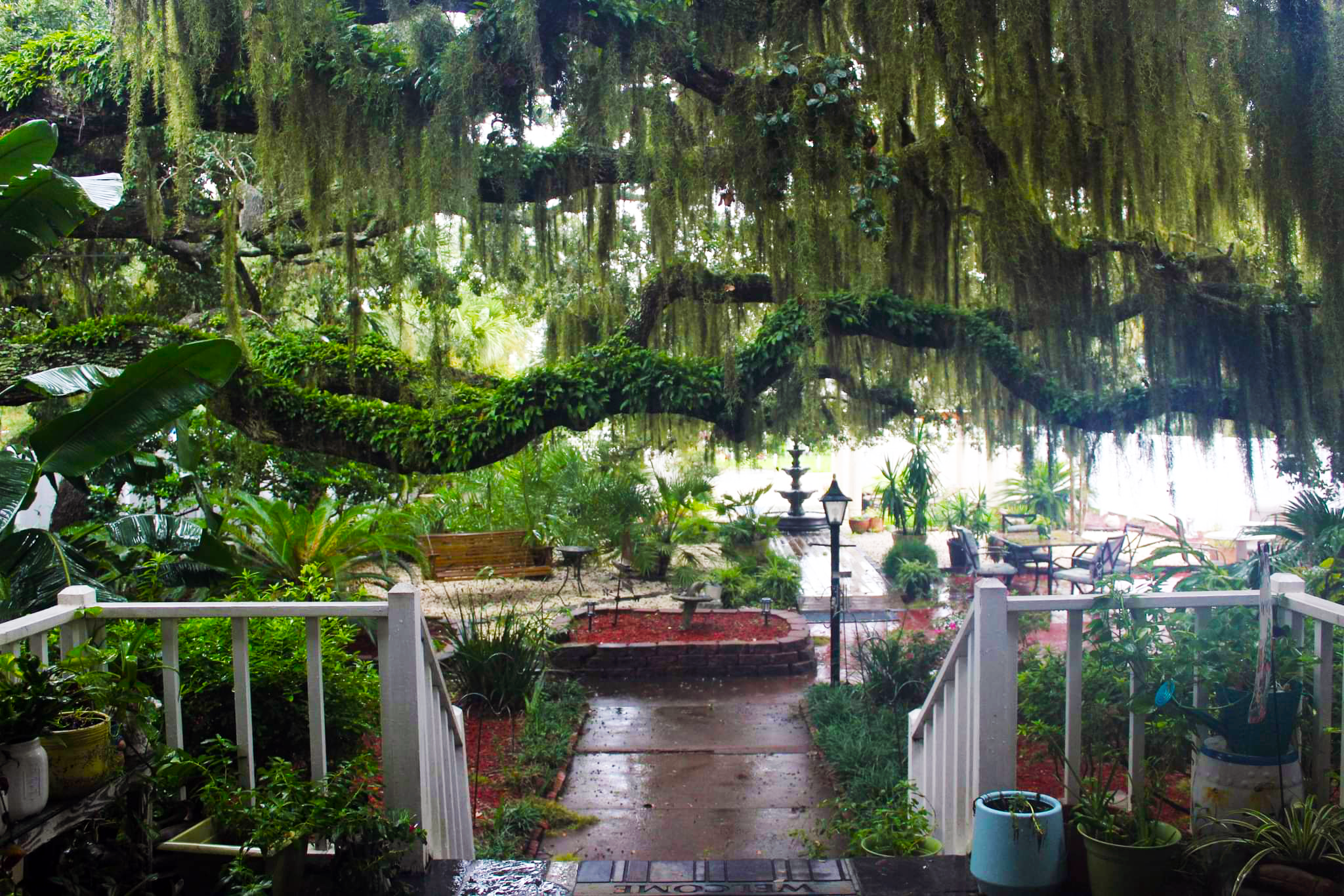 View from Porch